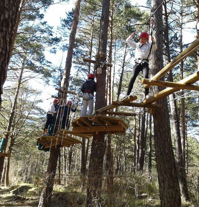 Climbing trees with children Central Pyrenees